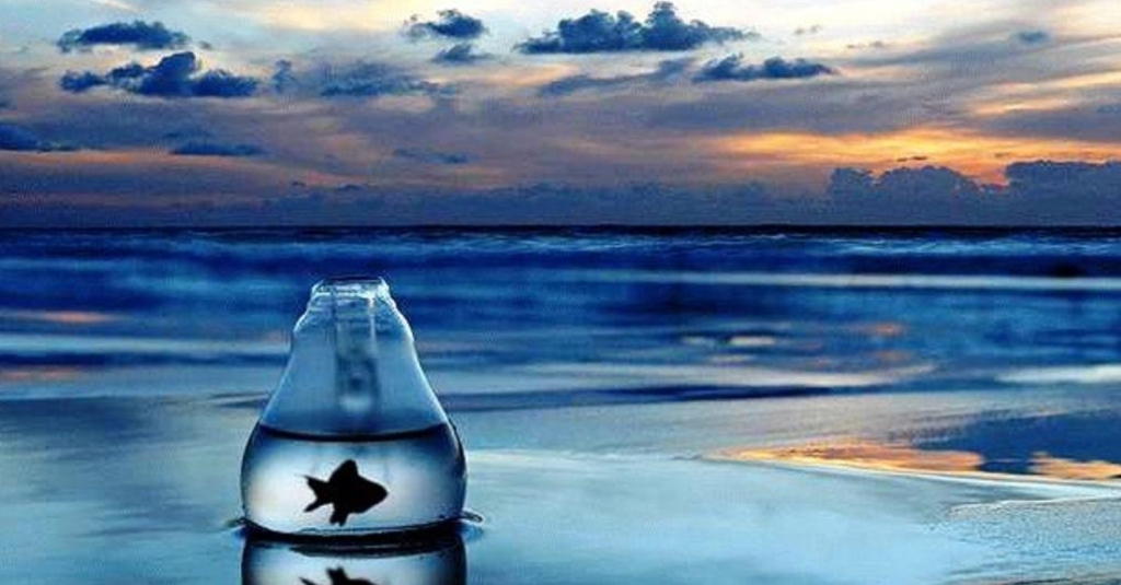 Kỹ thuật liên tưởng