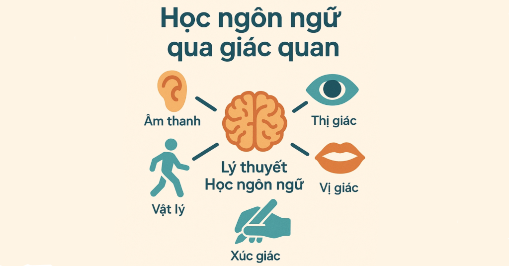 Kích hoạt nhiều giác quan khi học