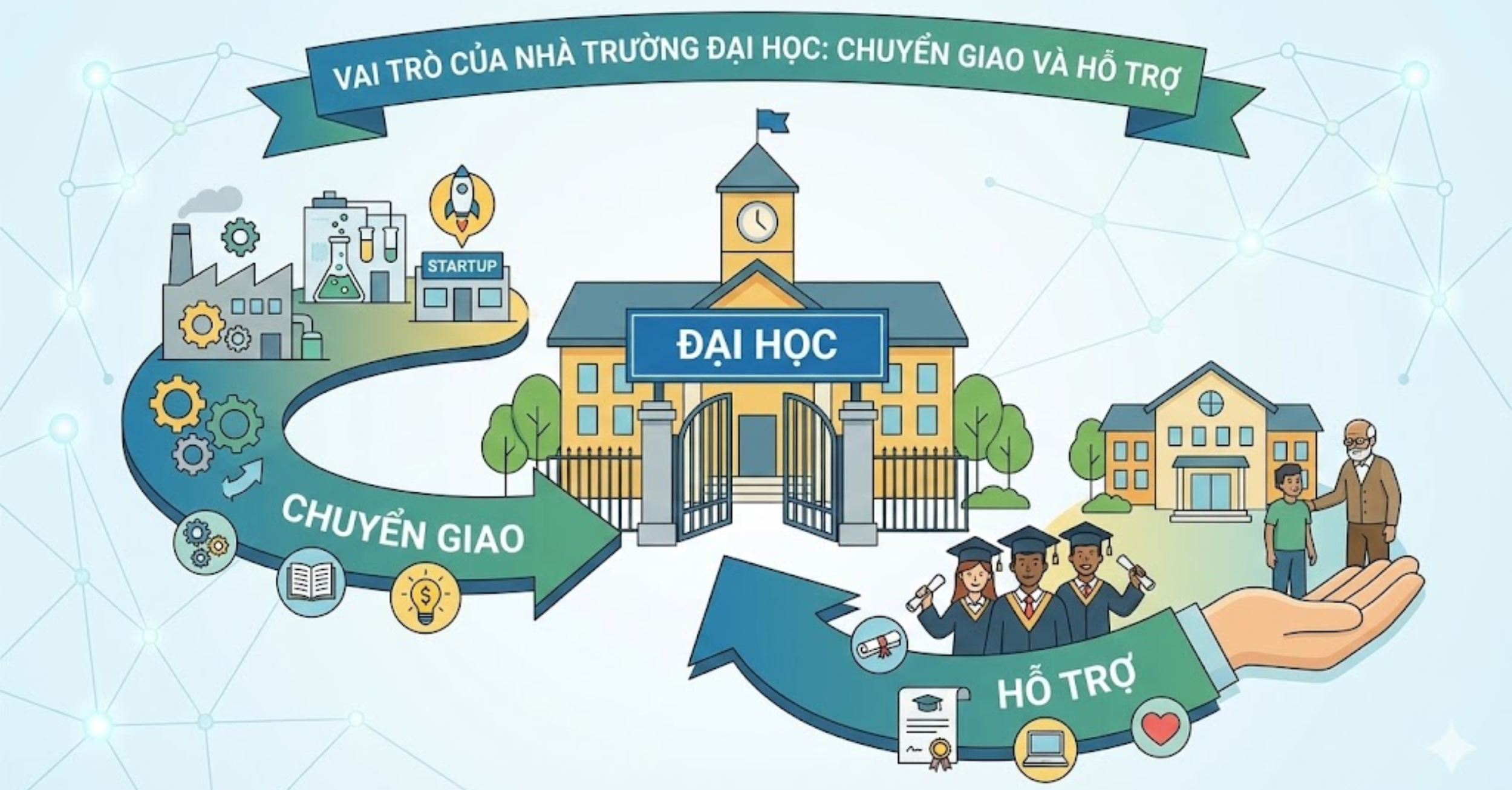 Vai trò của Nhà trường Đại học: Chuyển giao và Hỗ trợ 