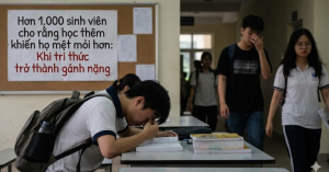 Hơn 1.000 sinh viên cho rằng học thêm khiến họ mệt mỏi hơn: Khi tri thức trở thành gánh nặng